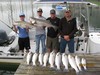 (08/01/2018) - Nice Striped Bass